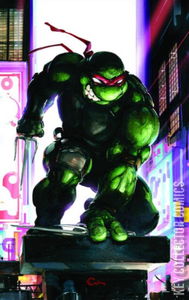 Teenage Mutant Ninja Turtles #2 