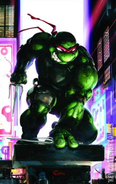 Variant Cover for Teenage Mutant Ninja Turtles #2