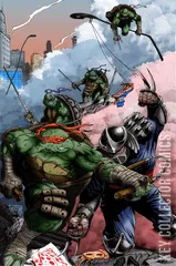 Cover for Teenage Mutant Ninja Turtles #2