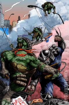 Variant Cover for Teenage Mutant Ninja Turtles #2