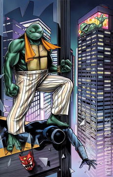 Variant Cover for Teenage Mutant Ninja Turtles #2