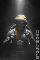 Variant Cover for Teenage Mutant Ninja Turtles #2