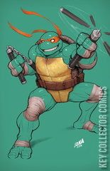 Variant Cover for Teenage Mutant Ninja Turtles #2