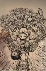 Cover for Teenage Mutant Ninja Turtles #2
