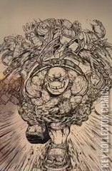 Variant Cover for Teenage Mutant Ninja Turtles #2