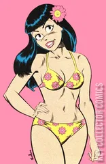 Variant Cover for Veronica #28