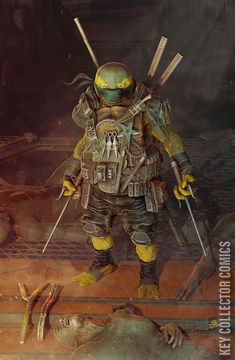 Variant Cover for Teenage Mutant Ninja Turtles: The Last Ronin II - ReEvolution #3