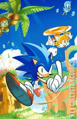 Variant Cover for Sonic the Hedgehog #1