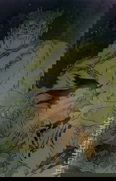 Variant Cover for No Heroine #3