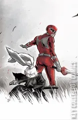 Cover for Mighty Morphin Power Rangers / Usagi Yojimbo #1