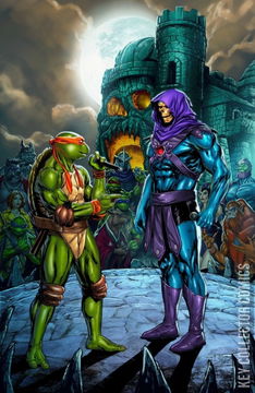 Variant Cover for Turtles of Grayskull #1