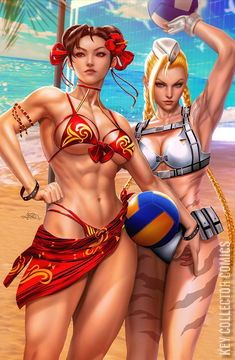 Variant Cover for Street Fighter & Friends Swimsuit Special 2024 #1
