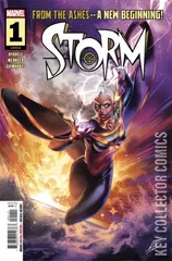 Cover for Storm #1