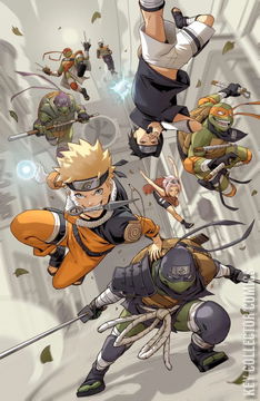 Variant Cover for Teenage Mutant Ninja Turtles / Naruto #1