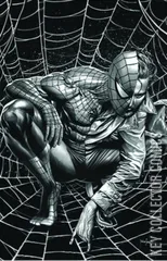 Variant Cover for Ultimate Spider-Man #7
