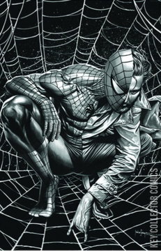 Variant Cover for Ultimate Spider-Man #7