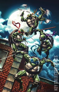 Teenage Mutant Ninja Turtles #1