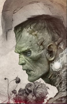 Variant Cover for Universal Monsters: Frankenstein #1