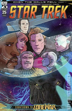 Variant Cover for Star Trek #25