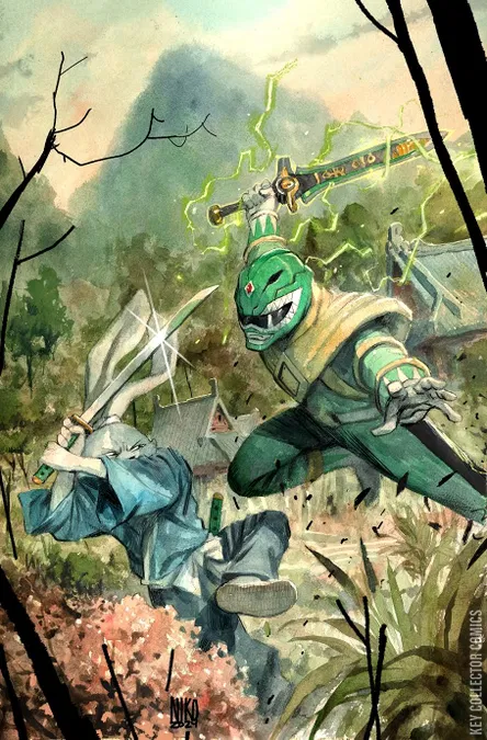 Cover art for Mighty Morphin Power Rangers / Usagi Yojimbo #1 NYCC