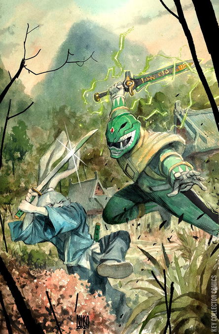 Cover art for Mighty Morphin Power Rangers / Usagi Yojimbo #1 