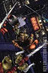 Cover for Teenage Mutant Ninja Turtles #2