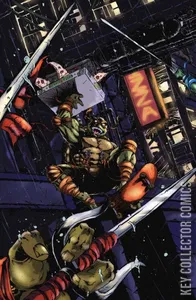Teenage Mutant Ninja Turtles #2