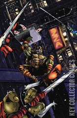 Variant Cover for Teenage Mutant Ninja Turtles #2