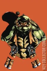 Cover for Teenage Mutant Ninja Turtles #2