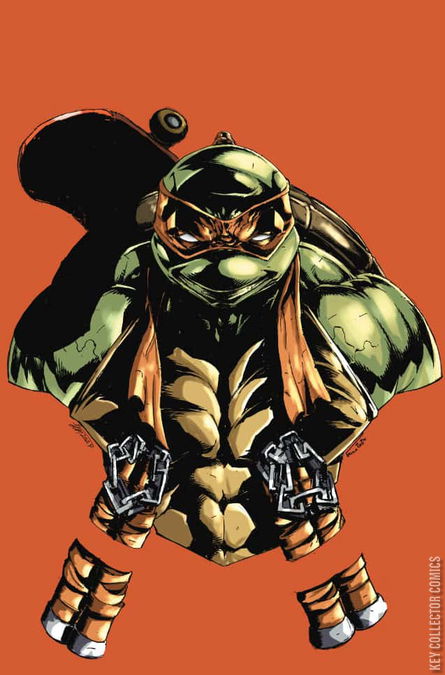 Cover art for Teenage Mutant Ninja Turtles #2 