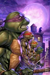 Cover for Teenage Mutant Ninja Turtles #2