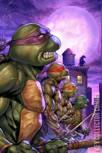 Teenage Mutant Ninja Turtles #2