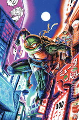 Variant Cover for Teenage Mutant Ninja Turtles #2