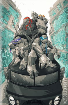 Variant Cover for Teenage Mutant Ninja Turtles #2