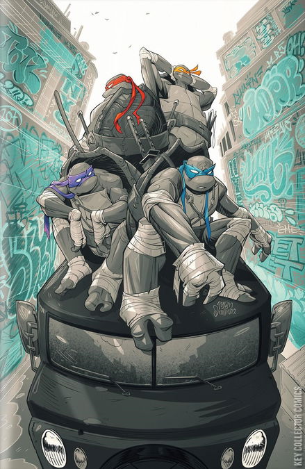 Cover art for Teenage Mutant Ninja Turtles #2 