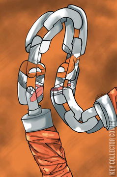 Variant Cover for Teenage Mutant Ninja Turtles #2