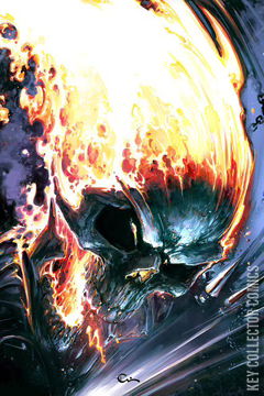 Variant Cover for Spirits of Vengeance #1