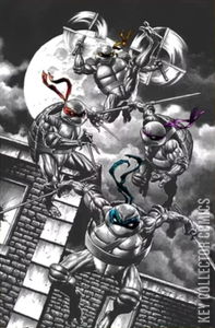 Teenage Mutant Ninja Turtles #1