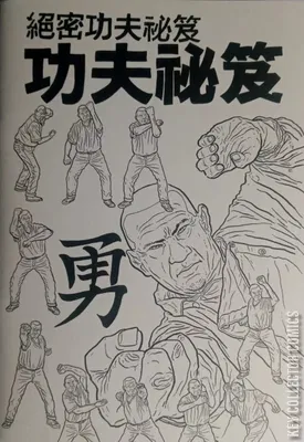Shaolin Cowboy: Secret Kung-Fu Manual