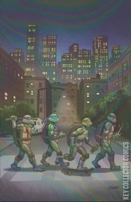 Teenage Mutant Ninja Turtles