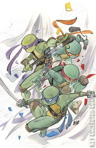 Teenage Mutant Ninja Turtles #1