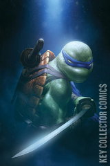 Variant Cover for Teenage Mutant Ninja Turtles #3