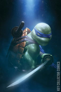 Variant Cover for Teenage Mutant Ninja Turtles #3