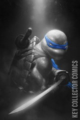 Variant Cover for Teenage Mutant Ninja Turtles #3