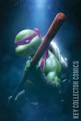 Variant Cover for Teenage Mutant Ninja Turtles #4