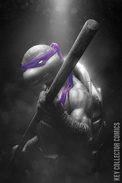 Variant Cover for Teenage Mutant Ninja Turtles #4