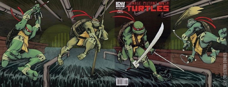 Teenage Mutant Ninja Turtles #1