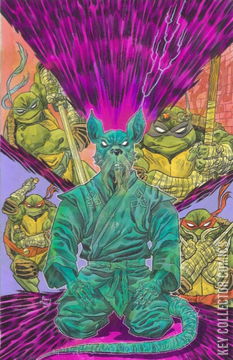 Variant Cover for Teenage Mutant Ninja Turtles #1