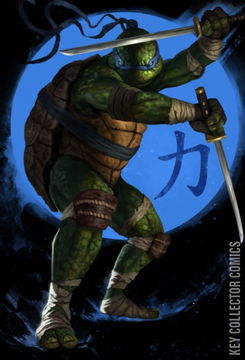 Variant Cover for Teenage Mutant Ninja Turtles #1