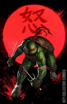 Variant Cover for Teenage Mutant Ninja Turtles #1